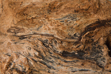 old bark texture on brown and black mixed 