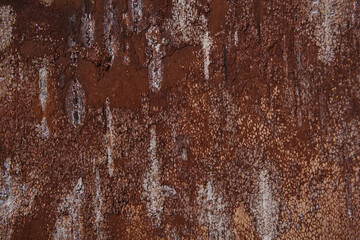 Texture of the inner side of birch bark. Natural birch background.