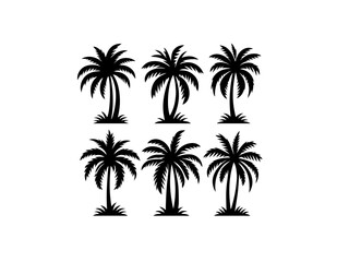 Fototapeta premium A premium vector palm tree silhouette featuring elegant, detailed designs perfect for tropical-themed projects vector black and white design logo type.