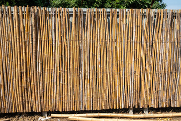 Bamboo Roof and Fences 