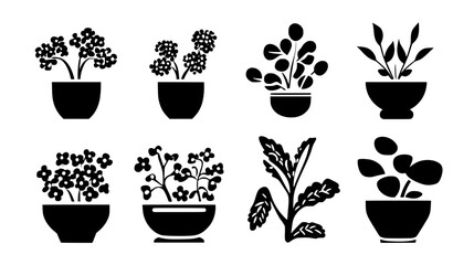 Fototapeta premium Collection of Mustard Seeds icons, Mustard Seeds illustration art, seamless pattern