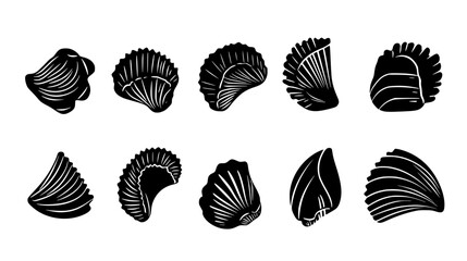 Fototapeta premium Collection of Agnolotti digital art, Agnolotti vector graphic, repetitive pattern