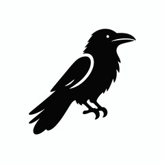 Fototapeta premium very simple flat and minimalist Raven silhouette in black on a white background