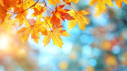 Maple leaves shine golden against blurred blue sky, capturing autumn's essence with backlit foliage and dreamy bokeh effect in natural sunlight environment.