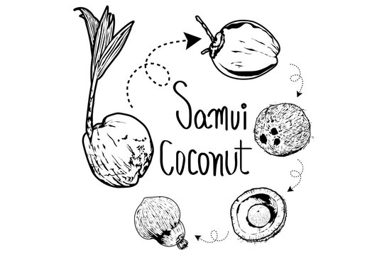 Samui Coconut