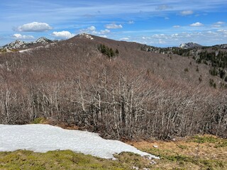 The last remnants of spring snow after a long and harsh mountain winter - Northern Velebit National...