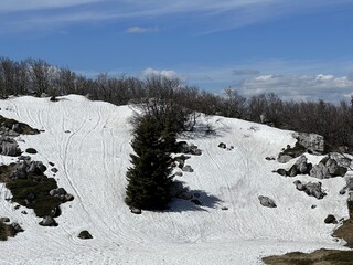 The last remnants of spring snow after a long and harsh mountain winter - Northern Velebit National...