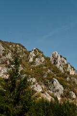 Many wild birds of prey nest in the mountains. Bald eagles perch on top of a cliff, view from afar....