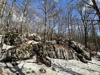 The last remnants of spring snow after a long and harsh mountain winter - Northern Velebit National...