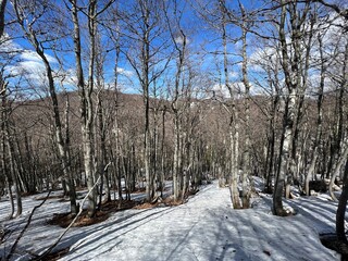 The last remnants of spring snow after a long and harsh mountain winter - Northern Velebit National...