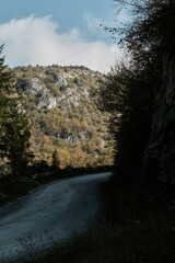 A winding paved mountain road in golden autumn season. Beautiful nature of southwestern Serbia.