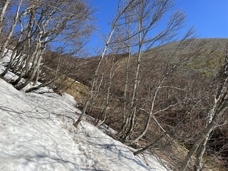 The last remnants of spring snow after a long and harsh mountain winter - Northern Velebit National...