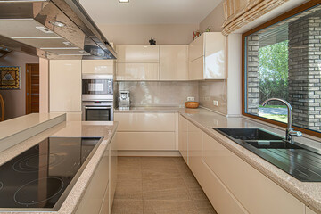 Modern luxury kitchen interior in minimal scandinavian style, 3d render