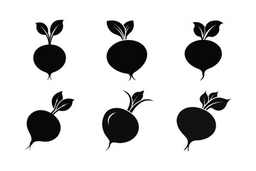 Radicchio (Cichorium intybus var. foliosum) design, labeled silhouette vector illustration