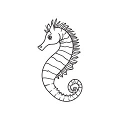 Fototapeta premium Seahorse vector illustration, Seahorse Fish Outline Clipart