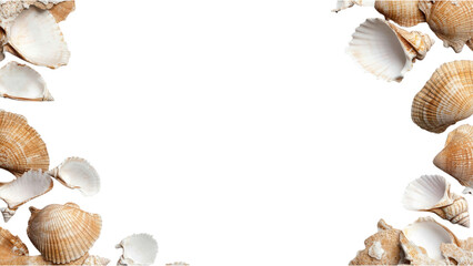 Obraz premium Seashells arranged around on transparent background.