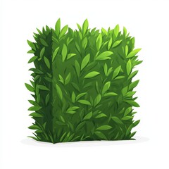 Obraz premium Bush of green leaves on white background with cartoon clipart of freshly trimmed hedge