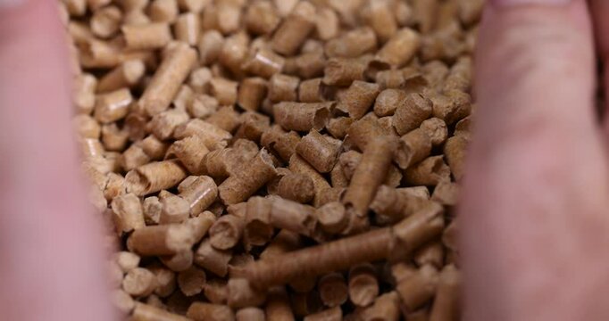 wood filler for pet hygiene, toilet filler for pets such as dogs, cats, rodents