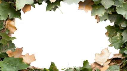 Leafy frame with a dark center, perfect for text or images.