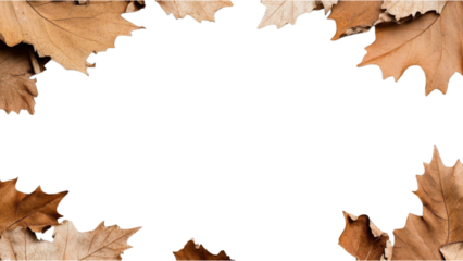 Leaves frame a dark center, creating a natural border effect.