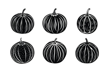 Spaghetti Squash (Cucurbita pepo) design, labeled silhouette vector illustration