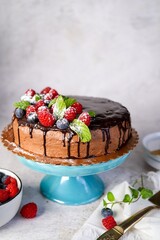 Homemade vanilla layered sponge cake with chocolate buttercream frosting
