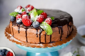 Homemade vanilla layered sponge cake with chocolate buttercream frosting