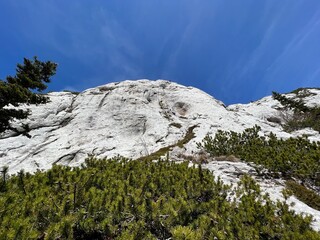 Limestone rocks and karst mountain landscape - Northern Velebit National Park, Croatia (Vapnenačke stijene i krški planinski krajolik - Nacionalni park Sjeverni Velebit, Hrvatska)