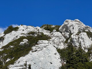 Limestone rocks and karst mountain landscape - Northern Velebit National Park, Croatia (Vapnenačke stijene i krški planinski krajolik - Nacionalni park Sjeverni Velebit, Hrvatska)