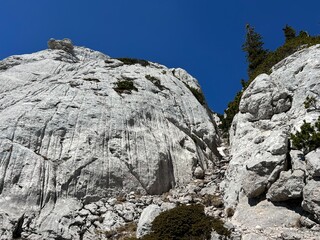 Limestone rocks and karst mountain landscape - Northern Velebit National Park, Croatia (Vapnenačke stijene i krški planinski krajolik - Nacionalni park Sjeverni Velebit, Hrvatska)