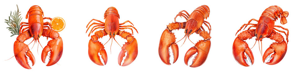 Colorful Lobster Watercolor Splash Art