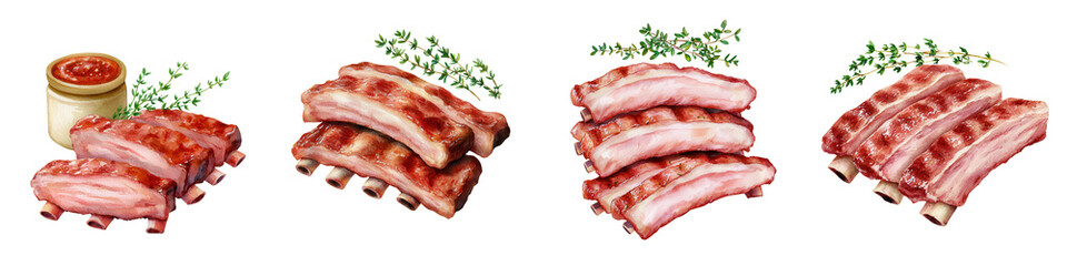 Fresh Pork Ribs Watercolor Painting Art