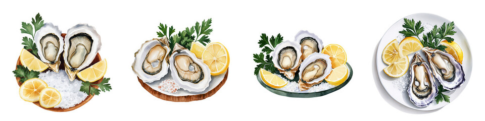 Watercolor Representation of Fresh Oysters on Plates