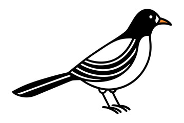 illustration of a bird