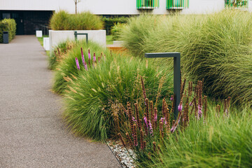 Modern residential buildings in the public green area. Landscaping, beautiful flowerbeds in an...