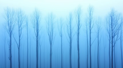 Obraz premium Serene Misty Forest with Bare Trees in Calm Blue Atmosphere