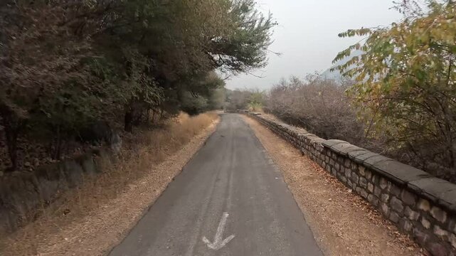 A Narrow asphalt road in The Sariska jungle