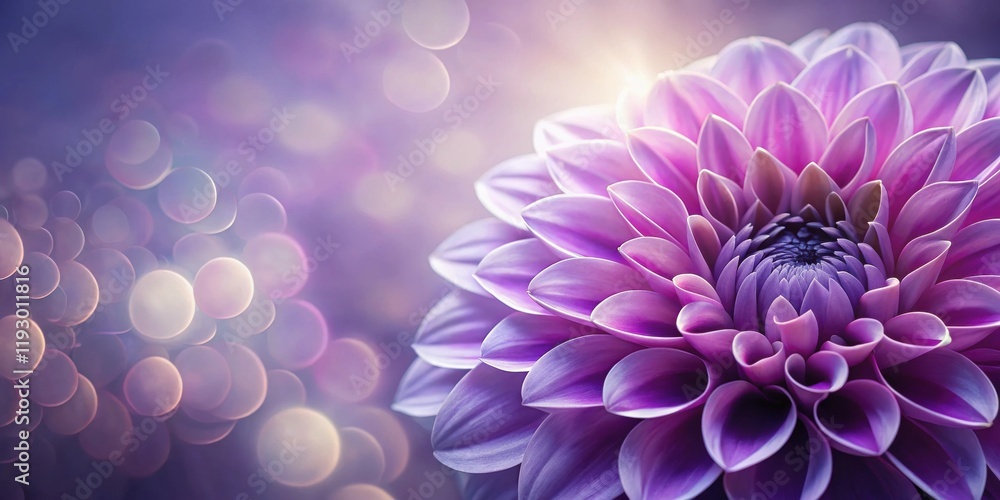 Poster a close-up view of a vivid purple dahlia blossom with soft bokeh background