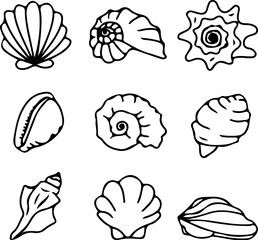 Set of seashells. Modern style scheme. Hand-drawn vector illustration. Isolated design element