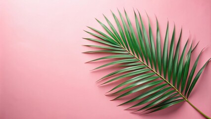 Obraz premium Vibrant Green Palm Frond on a Soft Pink Background, Ideal for Summer Designs and Tropical Themed Projects