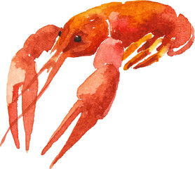 Watercolor painted crayfish. Hand drawn fresh seafood design element isolated on white background.