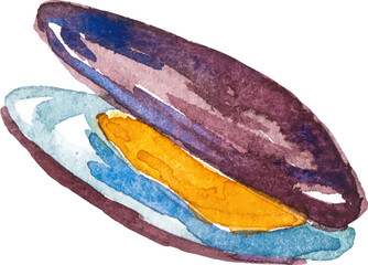 Obraz premium Watercolor painted mussels. Hand drawn fresh seafood design element isolated on white background.