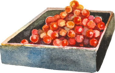 Watercolor painted red caviar. Hand drawn fresh seafood design element isolated on white background.