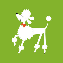 Cartoon-style illustration of a sophisticated white poodle with a bow tie