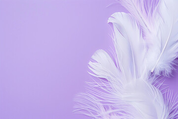 Obraz premium White feathers scattered on a purple background. The feathers are of different sizes and shapes, tenderness and lightness concept