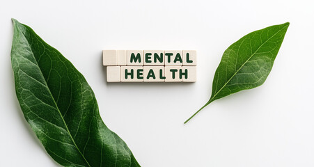 Building Mental Health Support Through Natural Elements