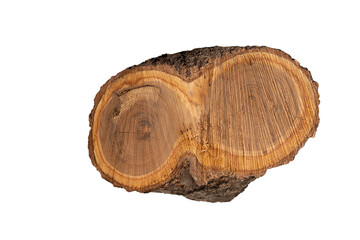 Piece of fruit tree trunk on transparent background. Different angles. Close up.