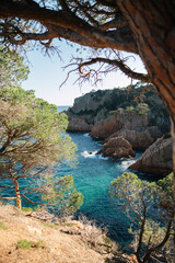 view of the coast of the sea