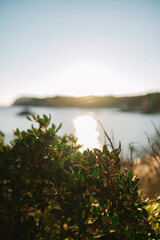 Fototapeta premium sunrise over the lake