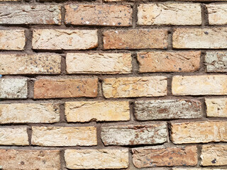 Textured brick wall providing a rustic aesthetic with ample copy space for design or message placement